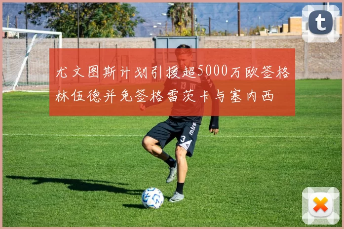 尤文图斯计划引援超5000万欧签格林伍德并免签格雷茨卡与塞内西